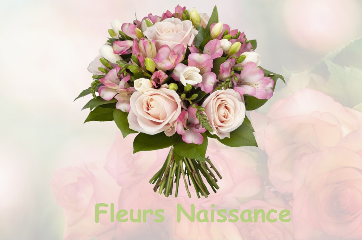 fleurs naissance BAX