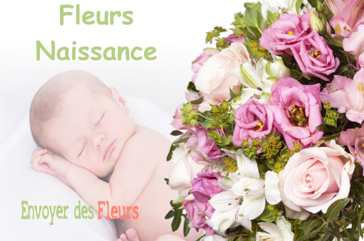 lIVRAISON FLEURS NAISSANCE à BAX